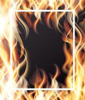 Fire and White Frame. vector