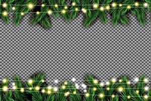 Fir Branch with Neon Lights on Transparent Background. vector