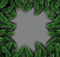 Fir Branch Square Frame on Transparent Background. vector