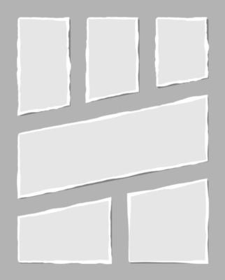 Set of torn white note. Scraps of torn paper of various shapes isolated on gray background. Vector illustration.