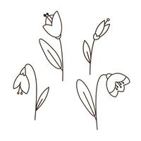 Snowdrop flowers drawing collection. Monochrome doodle outline illustration.  Simple cartoon spring flower design or coloring page element set. vector