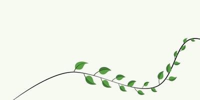 banner vectorial minimalista y moderno a base de hierbas. plantas pintadas a mano, ramas, hojas sobre un fondo blanco. plantilla horizontal simple de boda verde. todos los elementos están aislados y editables vector