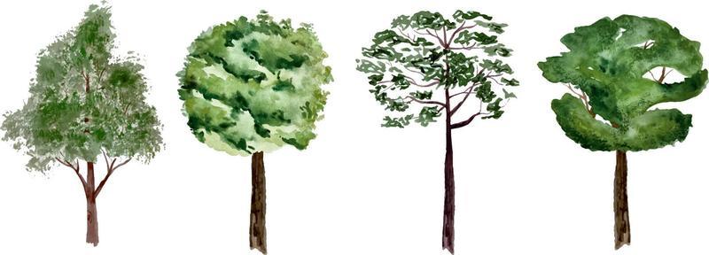 Watercolor set of green forest trees isolated on white