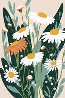 white chamomile flowers nature background illustration vector