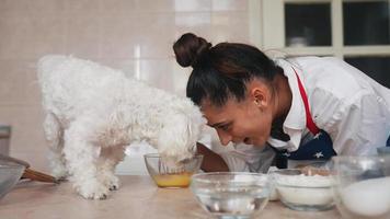 Backen in der Küche mit einem Hund video
