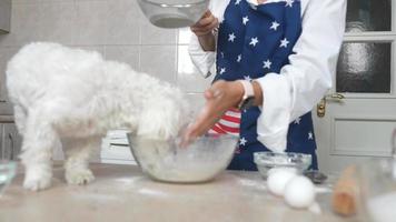 cuisiner dans la cuisine avec un chien video