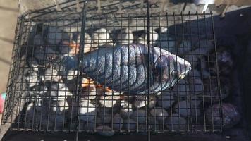 Fisch auf einem Grill über Kohlen zubereiten video