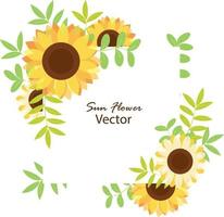 Frame of the sunflower vector