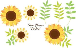 marco del girasol vector