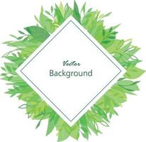Watercolor Green Branch Frame With White Circle vector