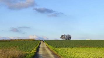 Fahrradfahren auf einer grünen Wiese video