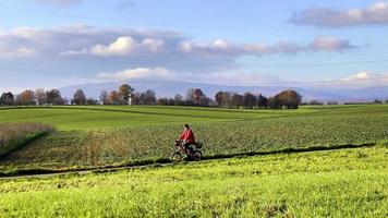 rijden fiets in een groen veld- video