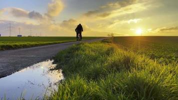 Fahrrad fahren und den Sonnenuntergang video