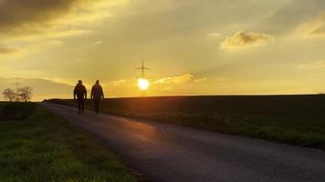 wandelen in groen veld- in zonsondergang video