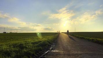 wandelen in groen veld- in zonsondergang video