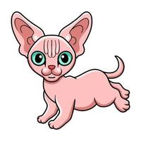 Cute sphynx cat cartoon walking vector