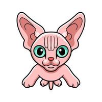 Cute sphynx cat cartoon posing vector