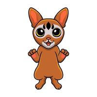 Cute abyssinian cat cartoon standing vector