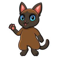 Cute tonkinese cat cartoon waving hand vector