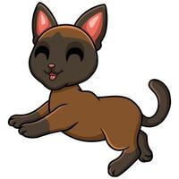 Cute tonkinese cat cartoon walking vector