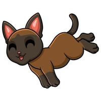 Cute tonkinese cat cartoon jumping vector