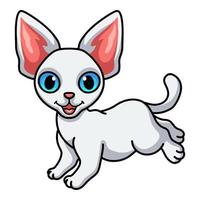 dibujos animados lindo gato devon rex saltando vector