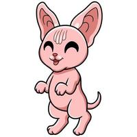 Cute sphynx cat cartoon standing vector