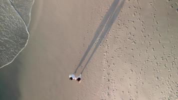 casal de turistas na costa arenosa com ondas espumosas durante o verão. tiro aéreo drone video