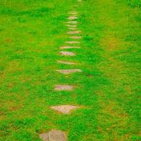 stone path on a lawn photo