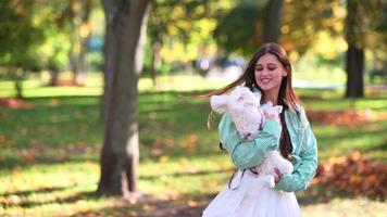 Woman in park plays with little white dog video