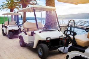 golf carts parked in a row photo