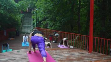 Woman performs yoga poses and stretches on outdoor stage video