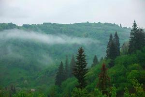 rainy green mountain landscape photo