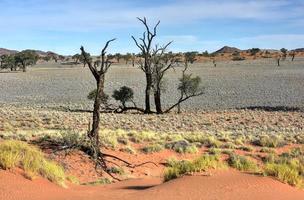 paisaje desértico - namibrand, namibia foto