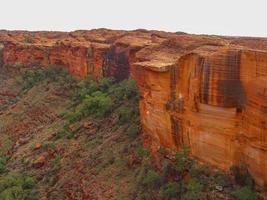 Panoramic view of Kings Canyon, Central Australia, Northern Territory, Australia photo
