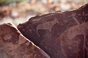 Bushman Rock Engravings - Namibia photo