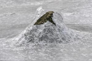Rock cracking through the ice in Vagspollen in the Lofoten Islands, Norway in the winter. photo