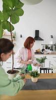 Young women make arrangements with plants video
