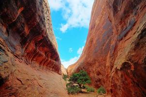 Dramatic Landscape of Arches National Park photo