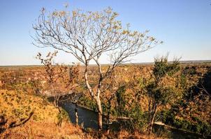 garganta del río zambeze foto