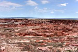 punto tawa en el parque nacional del bosque petrificado en arizona. foto