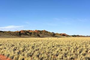 paisaje desértico - namibrand, namibia foto