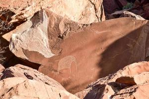 Bushman Rock Engravings - Namibia photo