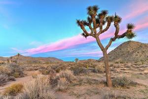 Beautiful landscape in Joshua Tree National Park in California. photo