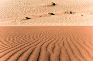 desierto de sossusvlei, namibia foto