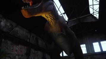 Close up of giant tyrannosaurus dinosaurus with sharp teeth video