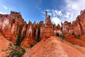 el anfiteatro en el parque nacional bryce canyon en utah, estados unidos. foto