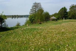Summer Landscapes in the Latvian Countryside photo