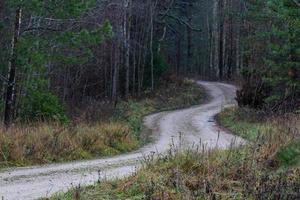 Graveled Country Road photo