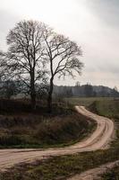 Autumn Landscapes in Latvia photo